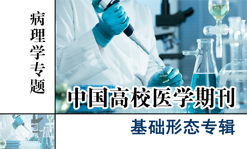 基础形态专辑-病理学专题