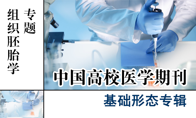 基础形态专辑-组织胚胎学专题
