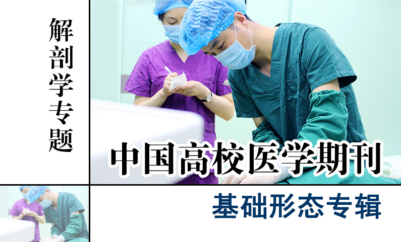 基础形态专辑-解剖学专题