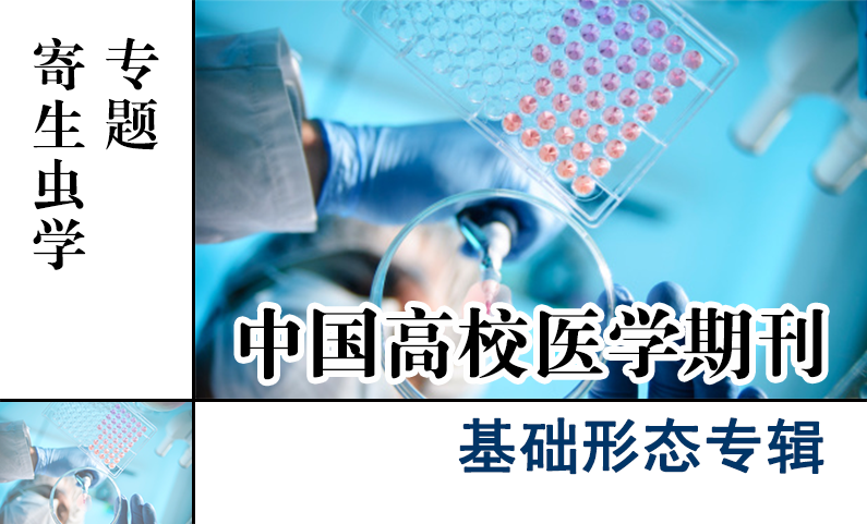 基础形态专辑-寄生虫学专题